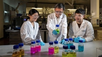Low electrical conductivity coolants Low electrical conductivity coolants