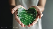 Hands holding a heart‑shaped green leaf as a symbol of BASF sustainability. Hands holding a heart‑shaped green leaf as a symbol of BASF sustainability.