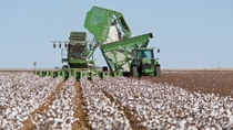 Advanced seed technology against resistant weeds Advanced seed technology against resistant weeds