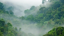 Scenic view of densely green mountains surrounded by fog Scenic view of densely green mountains surrounded by fog
