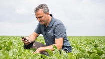 Older man in a grey polo crouched down looking at his phone in a green field  Older man in a grey polo crouched down looking at his phone in a green field
