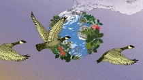 An illustration of three birds flying in front of a depiction of the earth with plants and building growing out of it An illustration of three birds flying in front of a depiction of the earth with plants and building growing out of it
