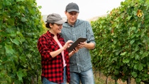 Wine and table grape growers using xarvio FIELD MANAGER For Fruits & Veggies will get timely and precise agronomic advice to boost production.
Photo: BASF SE Wine and table grape growers using xarvio FIELD MANAGER For Fruits & Veggies will get timely and precise agronomic advice to boost production.
Photo: BASF SE