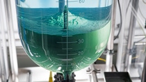 BASF forscht weltweit an innovativen Kathodenmaterialien für hochleistungsfähige Lithium-Ionen-Batterien, die die Elektromobilität weiter voranbringen. Die Kathodenmaterialien bestehen in der Regel aus gemischten Metalloxiden. Im ersten Syntheseschritt werden hierfür verschiedene Metallsalze mithilfe von Natronlauge gefällt. Nach Reaktionsende lässt man den grünen Feststoff absetzen, und filtriert, wäscht und trocknet diesen. Anschließend wird er bei mehr als 700°C kalziniert zum fertigen Kathodenmaterial. BASF forscht weltweit an innovativen Kathodenmaterialien für hochleistungsfähige Lithium-Ionen-Batterien, die die Elektromobilität weiter voranbringen. Die Kathodenmaterialien bestehen in der Regel aus gemischten Metalloxiden. Im ersten Syntheseschritt werden hierfür verschiedene Metallsalze mithilfe von Natronlauge gefällt. Nach Reaktionsende lässt man den grünen Feststoff absetzen, und filtriert, wäscht und trocknet diesen. Anschließend wird er bei mehr als 700°C kalziniert zum fertigen Kathodenmaterial.