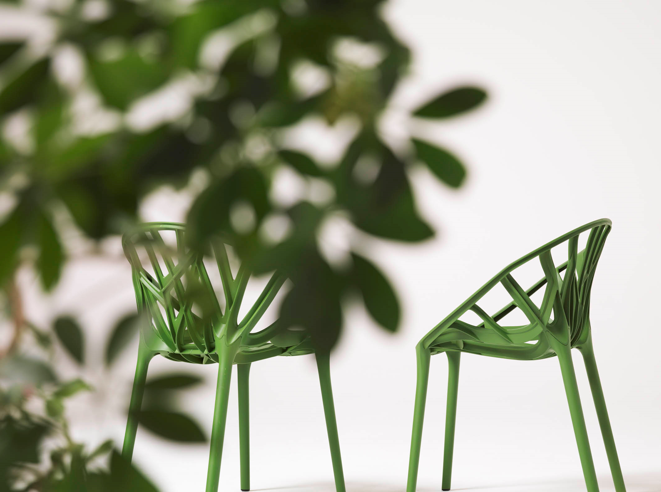 Two green plastic chairs facing each other behind blurred leaves Two green plastic chairs facing each other behind blurred leaves