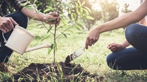 People planting a tree People planting a tree