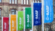 Flags with BASF colours and logos Flags with BASF colours and logos