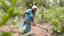 Member of one of six farming cooperatives. © Nyokabi Kahura/Good Shepherd International Foundation Member of one of six farming cooperatives. © Nyokabi Kahura/Good Shepherd International Foundation