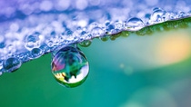 Little drop, big effect: At BASF Aroma Ingredients, we are passionate to support you with innovative flavor and fragrance ingredients. In everything we do, we ensure that each drop of our products is full of expertise, reliability, innovation and sustainability. Picture: Raindrops on plant leaf. Little drop, big effect: At BASF Aroma Ingredients, we are passionate to support you with innovative flavor and fragrance ingredients. In everything we do, we ensure that each drop of our products is full of expertise, reliability, innovation and sustainability. Picture: Raindrops on plant leaf.