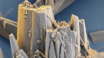 Sonnenschutzmittel und Tagespflegeprodukte mit dem wasserfesten UV-Absorber Tinosorb® S von BASF schützen die Haut verlässlich gegen UV-A- und UV-B-Strahlung. VergröÃerung 1800:1 (bei 15cm Bildbreite)
Abdruck honorarfrei. Copyright by BASF.   
Sunscreen and day-care products with BASFâs water-repellent UV filter Tinosorb® S protect human skin reliably against UV-A and UV-B radiation. Magnification 1800:1 (15cm in width)
Print free of charge. Copyright by BASF,Sonnenschutzmittel und Tagespflegeprodukte mit dem wasserfesten UV-Absorber Tinosorb® S von BASF schützen die Haut verlässlich gegen UV-A- und UV-B-Strahlung. Vergrößerung 1800:1 (bei 15cm Bildbreite)
Abdruck honorarfrei. Copyright by BASF.   
Sunscreen and day-care products with BASF’s water-repellent UV filter Tinosorb® S protect human skin reliably against UV-A and UV-B radiation. Magnification 1800:1 (15cm in width)
Print free of charge. Copyright by BASF Sonnenschutzmittel und Tagespflegeprodukte mit dem wasserfesten UV-Absorber Tinosorb® S von BASF schützen die Haut verlässlich gegen UV-A- und UV-B-Strahlung. VergröÃerung 1800:1 (bei 15cm Bildbreite)
Abdruck honorarfrei. Copyright by BASF.   
Sunscreen and day-care products with BASFâs water-repellent UV filter Tinosorb® S protect human skin reliably against UV-A and UV-B radiation. Magnification 1800:1 (15cm in width)
Print free of charge. Copyright by BASF,Sonnenschutzmittel und Tagespflegeprodukte mit dem wasserfesten UV-Absorber Tinosorb® S von BASF schützen die Haut verlässlich gegen UV-A- und UV-B-Strahlung. Vergrößerung 1800:1 (bei 15cm Bildbreite)
Abdruck honorarfrei. Copyright by BASF.   
Sunscreen and day-care products with BASF’s water-repellent UV filter Tinosorb® S protect human skin reliably against UV-A and UV-B radiation. Magnification 1800:1 (15cm in width)
Print free of charge. Copyright by BASF