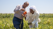 Two men are standing in a field looking at some fruit. Two men are standing in a field looking at some fruit.