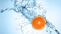 Foto: BASF / Shutterstock Foto: BASF / Shutterstock