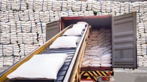 White bags of sugars from warehouse are staffing in container for export (Picture credit: Adobe Stock). White bags of sugars from warehouse are staffing in container for export (Picture credit: Adobe Stock).