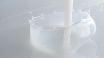 Licity anode binder are are waterborne carboxylated styrene butadiene copolymers with very low VOC content.jpg Licity anode binder are are waterborne carboxylated styrene butadiene copolymers with very low VOC content.jpg