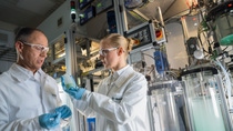 Globally, BASF is conducting research on innovative cathode materials for high-performance lithium-ion batteries that make electromobility a reality. The cathode materials usually consist of mixed metal oxides. In the first step of the synthesis, various metal salts are precipitated using sodium hydroxide. Physical laboratory technician Joerg Mai (left) and chemist Dr. Daniela Pfister (right) examines a sample of metal hydroxides and discuss the next steps: The particle size distribution of the sample is determined using analytical methods. This parameter influences essential properties of the end product. Globally, BASF is conducting research on innovative cathode materials for high-performance lithium-ion batteries that make electromobility a reality. The cathode materials usually consist of mixed metal oxides. In the first step of the synthesis, various metal salts are precipitated using sodium hydroxide. Physical laboratory technician Joerg Mai (left) and chemist Dr. Daniela Pfister (right) examines a sample of metal hydroxides and discuss the next steps: The particle size distribution of the sample is determined using analytical methods. This parameter influences essential properties of the end product.