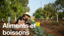Une agricultrice, portant une salopette et un chapeau, tient une tablette et examine des plants dans un champ par une journée ensoleillée. Le texte sur l’image indique : « Nourriture et boissons ». Une agricultrice, portant une salopette et un chapeau, tient une tablette et examine des plants dans un champ par une journée ensoleillée. Le texte sur l’image indique : « Nourriture et boissons ».