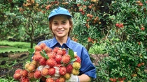 Smiling lady in a blue uniform and hat holding a bunch of red rambutan fruit Smiling lady in a blue uniform and hat holding a bunch of red rambutan fruit