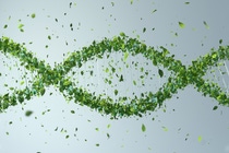 Tow employees during an inspection tour of the demonstration plant Tow employees during an inspection tour of the demonstration plant