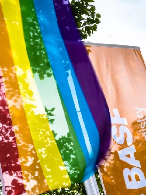 BASF flags: Driving Diversity, Equity & Inclusion  