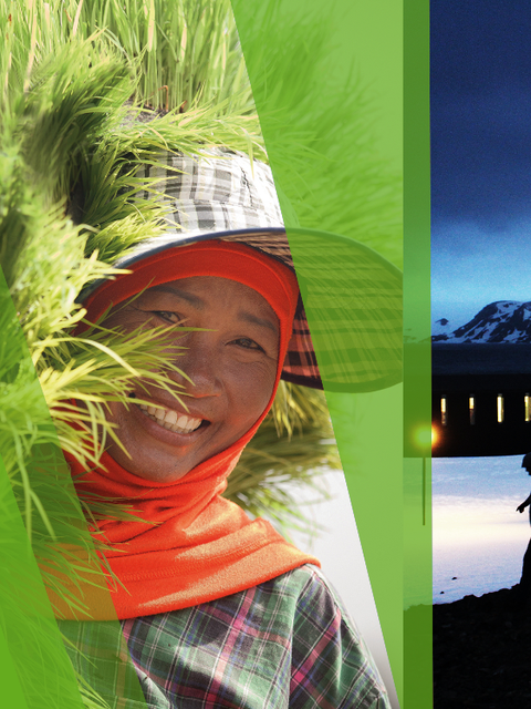 A collage of pictures from different BASF sustainability projects like a woman carrying palm leaves, a man walking through snow at night or sandalwood oil