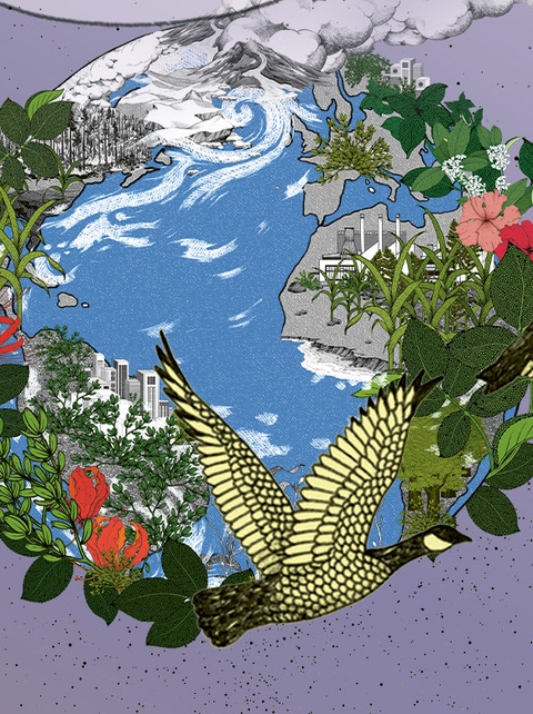 An illustration of three birds flying in front of a depiction of the earth with plants and building growing out of it