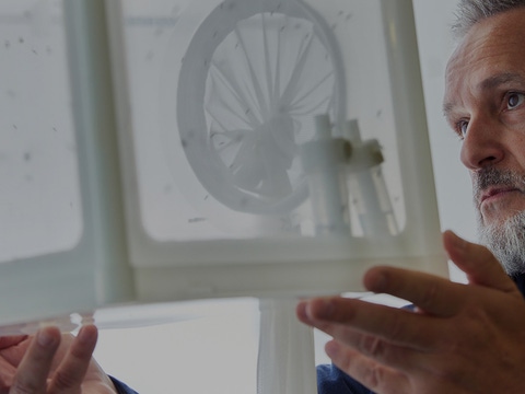 Malaria expert Justin McBeath observes mosquitoes in the lab Malaria expert Justin McBeath observes mosquitoes in the lab