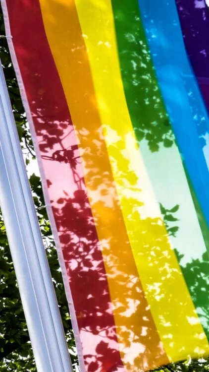 BASF flags: Driving Diversity, Equity & Inclusion  