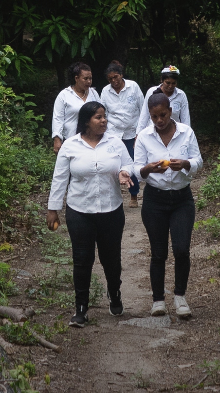 A group of women in white shorts walking through a rainforest. A group of women in white shorts walking through a rainforest.