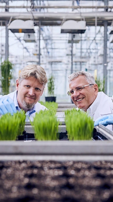 Worldwide, BASF researchers work on new agricultural solutions that enable balance between agricultural productivity, environmental protection and society’s needs.