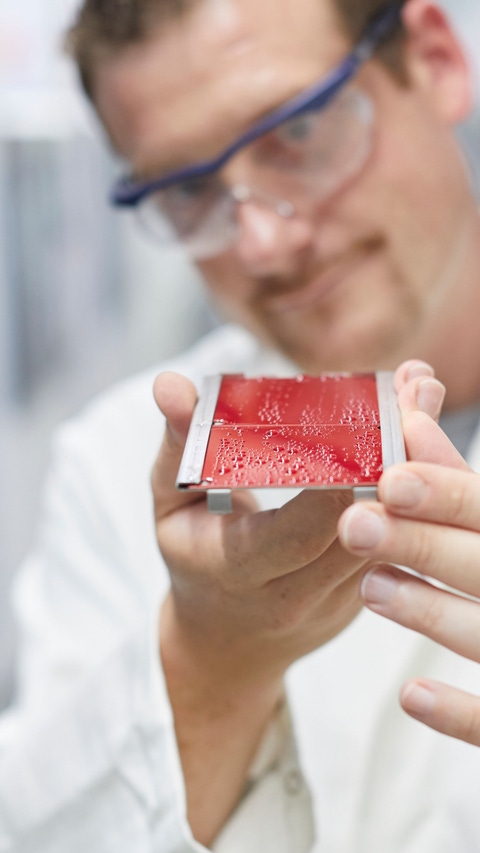 Staff member inspects a painted metal sheet Staff member inspects a painted metal sheet