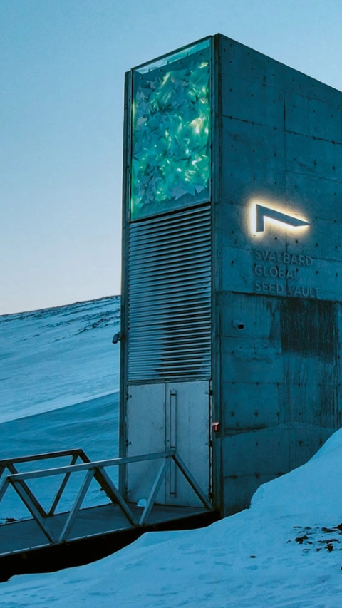 The Global Seed Vault in Spitsbergen, Norway, shrouded in snow.