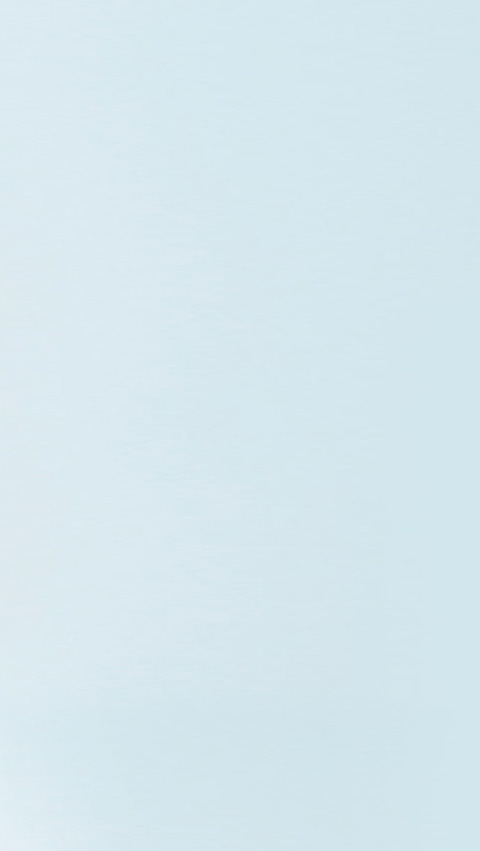 Dr. Dirk Elvermann, Member of the Board of Executive Directors, Chief Financial Officer (CFO) and Chief Digital Officer (CDO) of BASF SE Dr. Dirk Elvermann, Member of the Board of Executive Directors, Chief Financial Officer (CFO) and Chief Digital Officer (CDO) of BASF SE