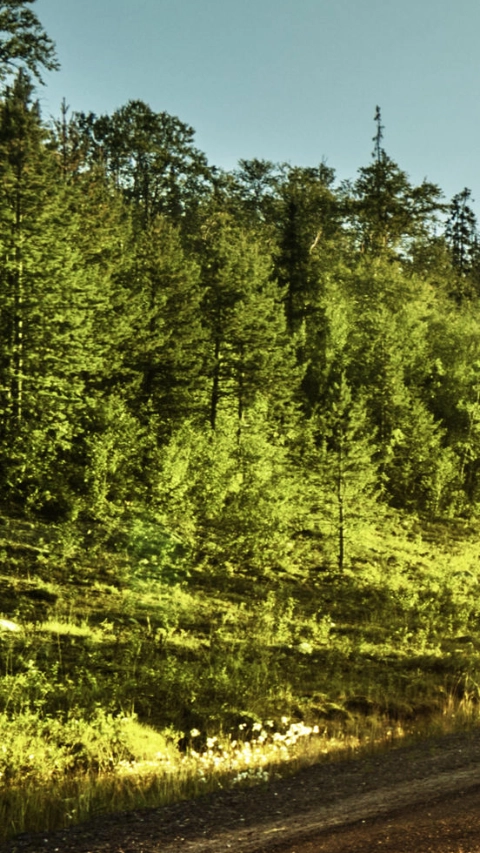 road in mountains