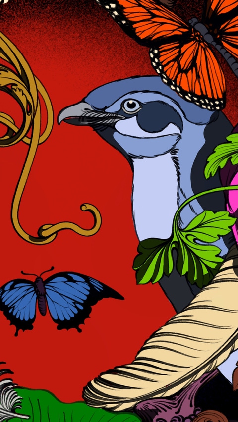 Illustrated collage that forms the face of a woman Illustrated collage that forms the face of a woman