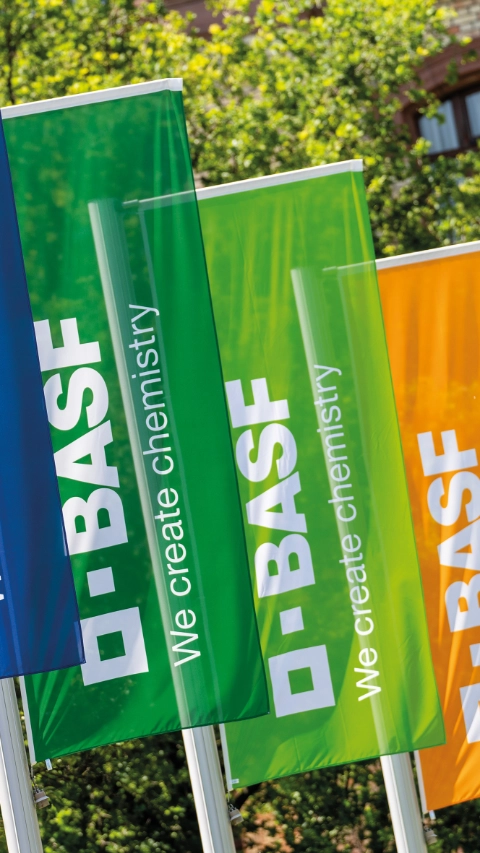 BASF flags at the Ludwigshafen site