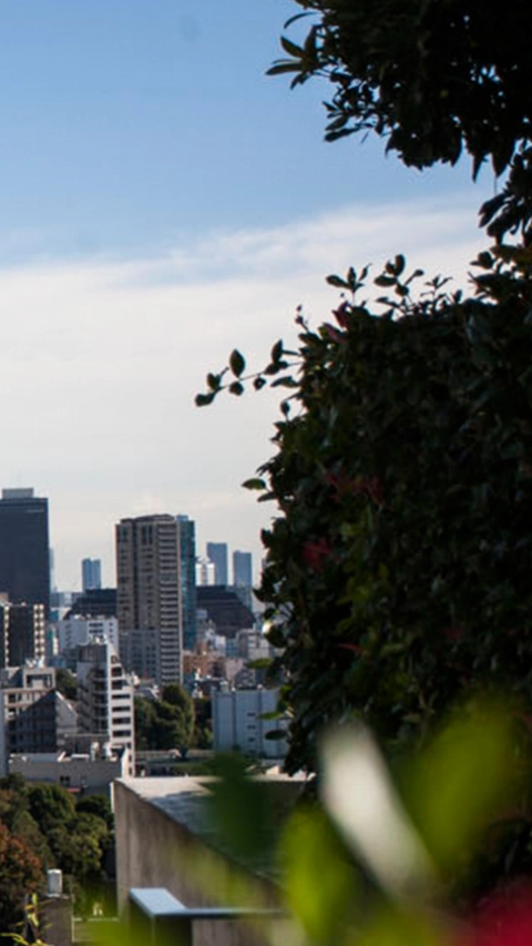 Landscape view of a city surrounded by high rises