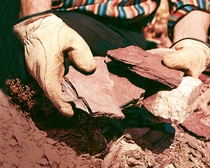 Two hands hold several slates above the ground. Two hands hold several slates above the ground.