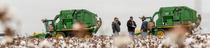 The picture shows two large green cotton harvesting machines in a cotton field with BASF cotton experts and farmers standing in front of them. The picture shows two large green cotton harvesting machines in a cotton field with BASF cotton experts and farmers standing in front of them.