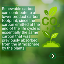 Graphic with leaves and a CO₂ symbol against a green background, showing a small growing plant. Graphic with leaves and a CO₂ symbol against a green background, showing a small growing plant.