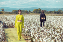 Two models wearing yellow and black clothes made from cotton are walking along a catwalk in a field of fluffy white cotton plants with blue mountains in the background. Two models wearing yellow and black clothes made from cotton are walking along a catwalk in a field of fluffy white cotton plants with blue mountains in the background.