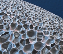 Die geschlossenen Zellen im expandierten thermoplastischen Polyurethan des neuen BASF Schaumstoff Infinergy® machen Schuhsohlen sehr elastisch und sorgen für eine effektive Dämpfung und Federung während des Laufens. Vergrößerung 100:1 (bei 15 cm Bildbreite) Die geschlossenen Zellen im expandierten thermoplastischen Polyurethan des neuen BASF Schaumstoff Infinergy® machen Schuhsohlen sehr elastisch und sorgen für eine effektive Dämpfung und Federung während des Laufens. Vergrößerung 100:1 (bei 15 cm Bildbreite)