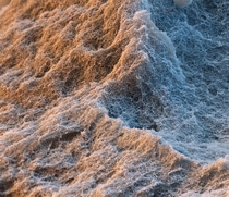 SLENTITE<sup>®</sup> is the first mechanically stable polyurethane aerogel for insulation panels. Due to its morphology with nanopores of 50 to 100 nanometers in size, it has low thermal conductivity, allowing for even thinner insulation panels. This helps reduce energy costs and offers freedom of design. Magnification 8000:1 (15 cm in width) SLENTITE<sup>®</sup> is the first mechanically stable polyurethane aerogel for insulation panels. Due to its morphology with nanopores of 50 to 100 nanometers in size, it has low thermal conductivity, allowing for even thinner insulation panels. This helps reduce energy costs and offers freedom of design. Magnification 8000:1 (15 cm in width)