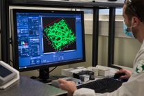 Numerous different bacteria live on human skin and are important for the health of our largest organ. Until now, however, not much was known about their exact function. A study conducted by BASF researchers has now shown that Lactobacillus crispatus bacteria are very abundant on the skin of younger people around their eyes but are not found inside the wrinkles of older people. In vitro studies demonstrated that these live bacteria stimulate the production of collagen in skin cells. Nicolas Berthelemy, R&D Project Leader in BASF Beauty Care Solutions France S.A.S, observes the collagen network organization in 3D (in green) in a reconstructed skin model using a multiphotonic confocal microscope. Based on these findings, BASF developed Probiolift®. It is the first cosmetic active ingredient that contains a living probiotic – Lactobacillus crispatus bacteria – found on human skin. Photo: BASF SE Numerous different bacteria live on human skin and are important for the health of our largest organ. Until now, however, not much was known about their exact function. A study conducted by BASF researchers has now shown that Lactobacillus crispatus bacteria are very abundant on the skin of younger people around their eyes but are not found inside the wrinkles of older people. In vitro studies demonstrated that these live bacteria stimulate the production of collagen in skin cells. Nicolas Berthelemy, R&D Project Leader in BASF Beauty Care Solutions France S.A.S, observes the collagen network organization in 3D (in green) in a reconstructed skin model using a multiphotonic confocal microscope. Based on these findings, BASF developed Probiolift®. It is the first cosmetic active ingredient that contains a living probiotic – Lactobacillus crispatus bacteria – found on human skin. Photo: BASF SE