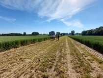 BASF shared the first results of its multi-year Global Carbon Field Trials, which demonstrate that it is possible to reduce greenhouse gas emissions in agriculture by up to 30 percent compared to standard farming approaches. The picture shows BASF employees on a trial field for wheat in Rhineland-Palatinate, Germany.
Phot: BASF SE BASF shared the first results of its multi-year Global Carbon Field Trials, which demonstrate that it is possible to reduce greenhouse gas emissions in agriculture by up to 30 percent compared to standard farming approaches. The picture shows BASF employees on a trial field for wheat in Rhineland-Palatinate, Germany.
Phot: BASF SE