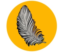 Illustrated peacock feather Illustrated peacock feather