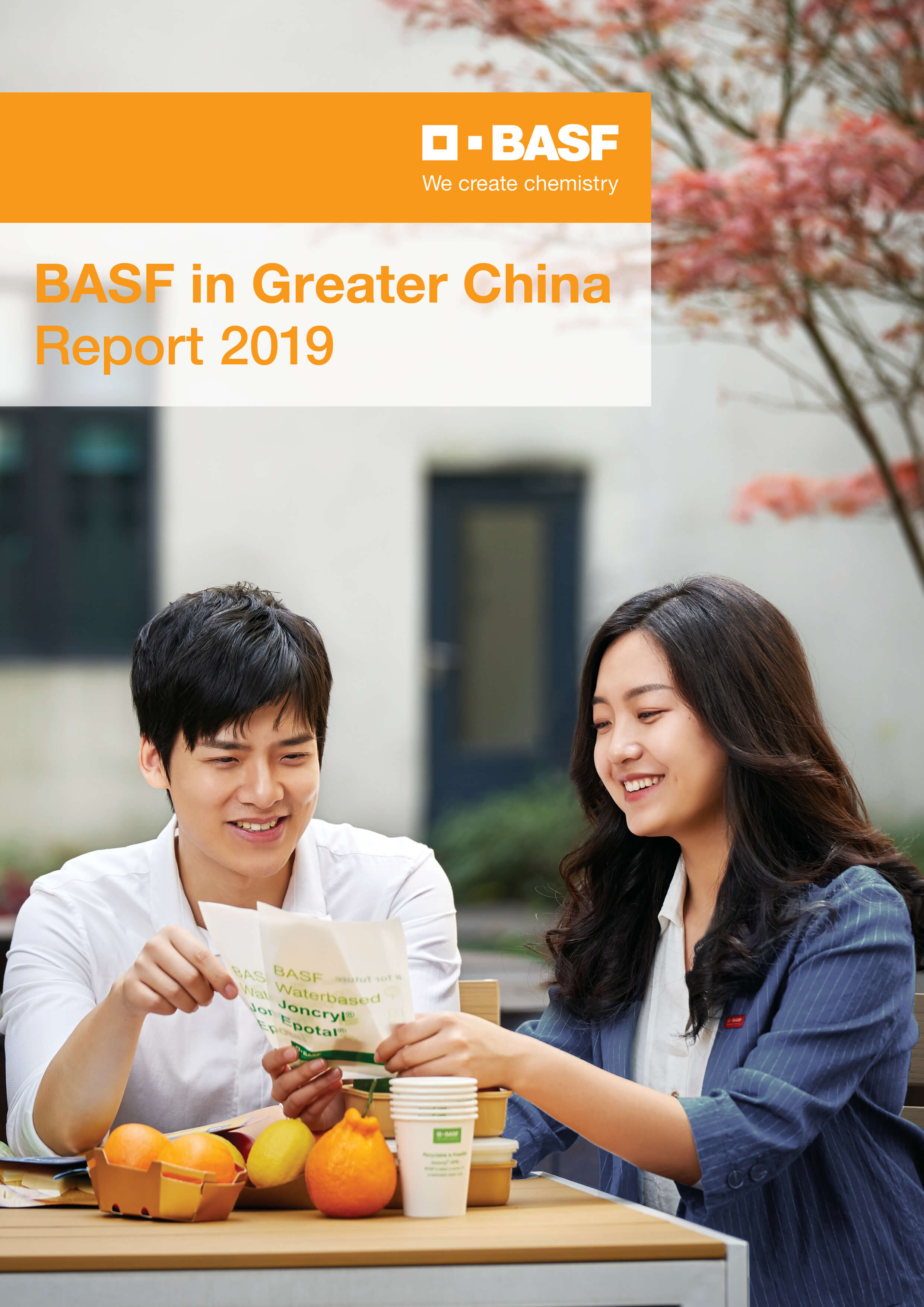 basf publishes annual report in greater china for 12th consecutive year direct method and indirect cash flow